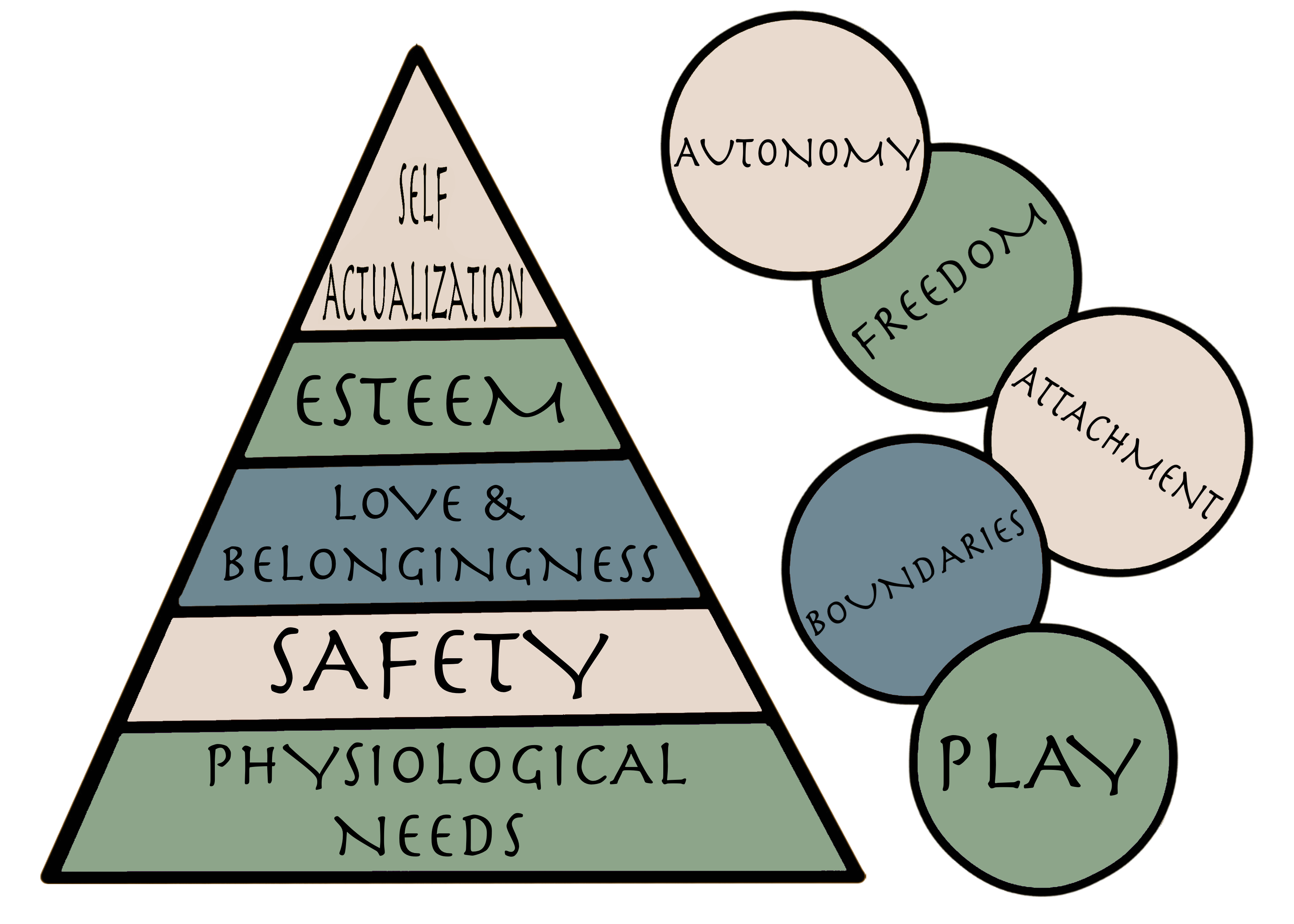 Basic Human Needs: How Early Experiences Shape Us